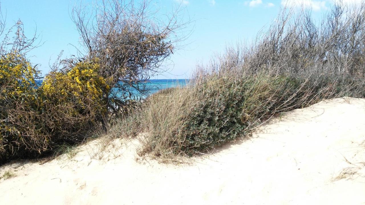 La Casa Di Dario Βίλα Monacizzo Εξωτερικό φωτογραφία